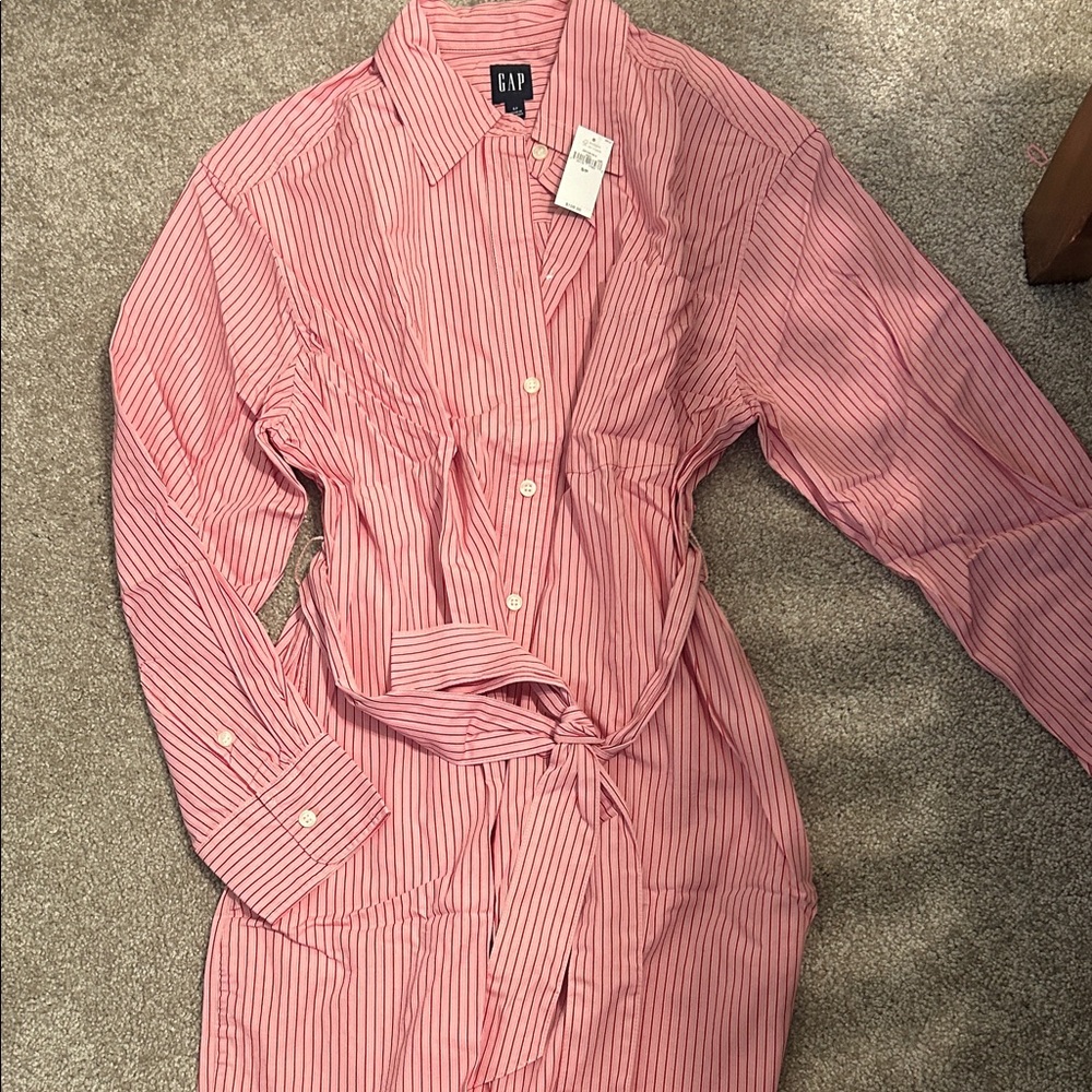 GAP Pink Striped Button-Up Dress